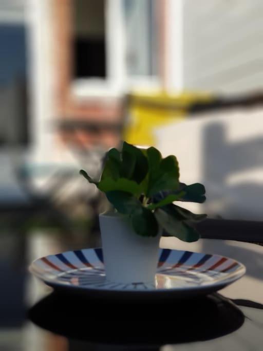 Le Chat Bleu - 26M2- Terrasse Sur Les Toits - Wi-Fi Amiens Exterior foto